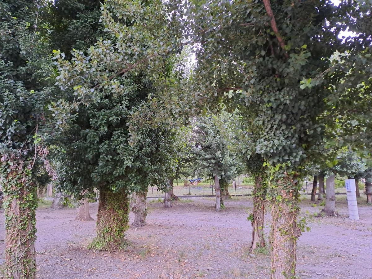 Camping Valle Del Andarax Fondon Exterior photo